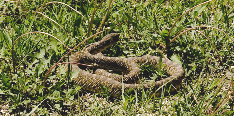 Bilder_USA_2009 008.jpg